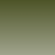 Transparent Olive Green